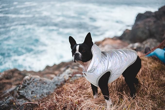 Fleece Hoodie, Windproof Waterproof Coat, Winter Warm Jacket, Cold Weather Pet Apparel Clothes Vest for Small Medium Large Dogs (M, Silver)