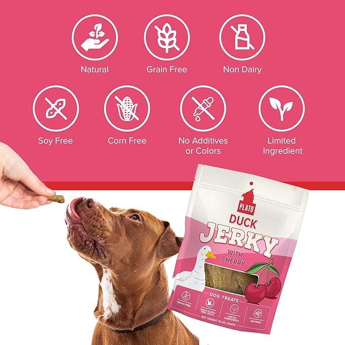 PLATO Pet Treats Jerky Dog Treats - Air-Dried Jerky for Dogs - Delicious, Real Meat Dog Treats - Grain Free - Supports Healthy Digestion - Duck Jerky with Cherry 7oz