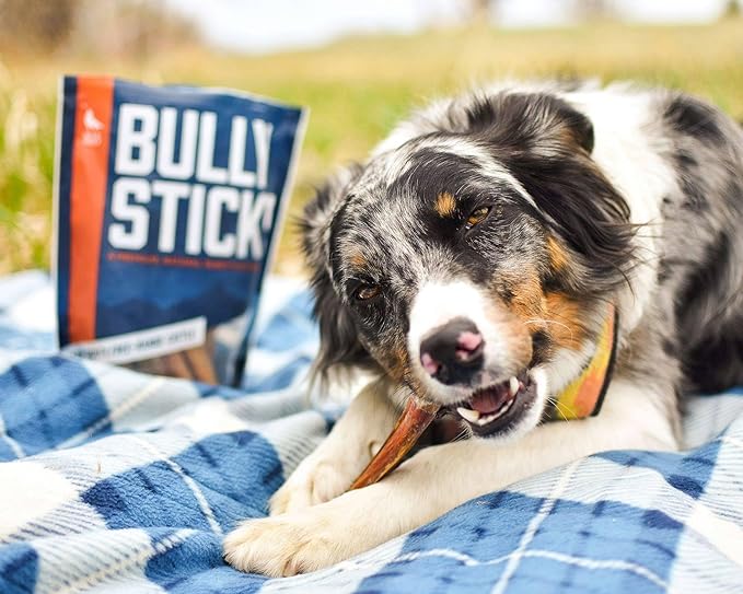 Wild Wolf 12-inch Half-Cut Bully Sticks (1 Pound) 100% Natural and Full of Nutrients - Best for Small to Medium Dogs - Natural Toothbrush - Approximately 12 Sticks - Packed with Love in The USA