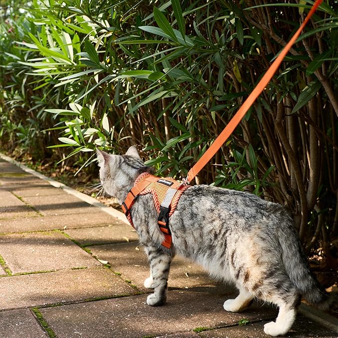 Cat Harness and Leash Escape Proof Small Kitten Harness Abyssinian Cat Vest for Walking Travel, Orange, S