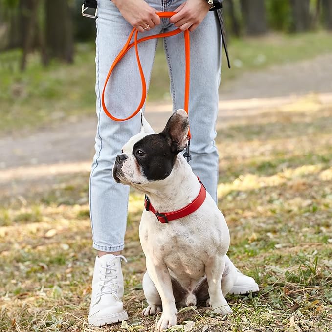 Dogline Biothane Waterproof Dog Leash 2/4/6 Ft Strong Coated Nylon Webbing with Black Hardware Odor-Proof Easy to Clean High Performance for Small or Large Dogs Made in USA, Hunter Orange