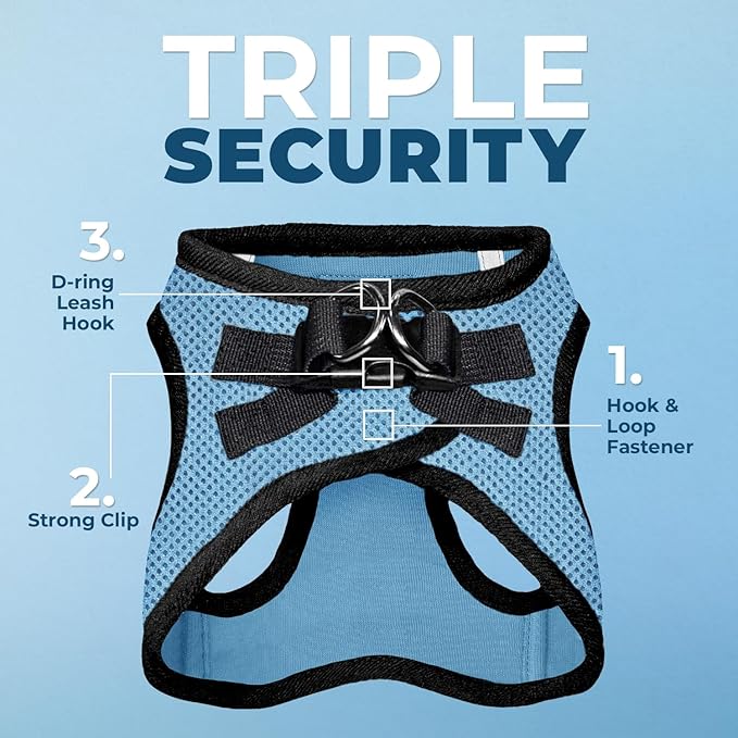 Best Pet Supplies Voyager Step-in Air Harness - All Weather Mesh, Reflective, No Pull Harness for Dogs, Cats - Secure with Hook & Loop Fastener, Buckle, Double D-Rings - Baby Blue/Black Trim, M