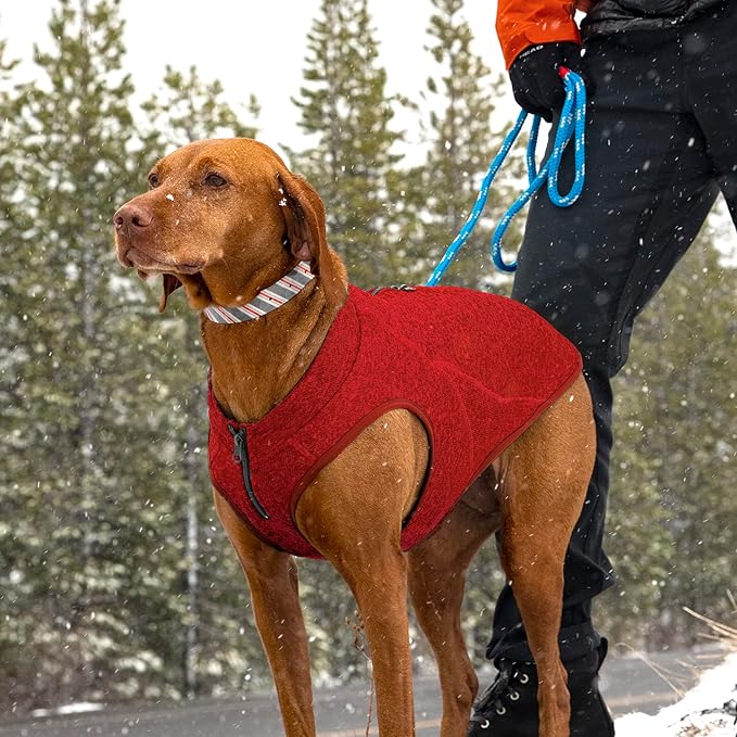 Kurgo Core Dog Sweater, Knit Dog Sweater with Fleece Lining, Cold Weather Pet Jacket, Zipper Opening for Harness, Adjustable Neck, Year-Round Sweater for Large Dogs (Heather Red, X-Large)