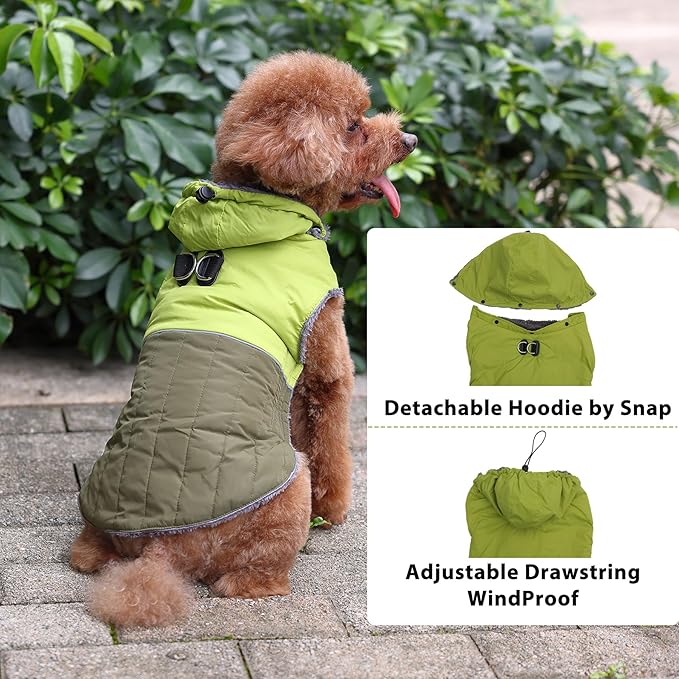 Detachable Hooded Dog Coat with Harness for Small Dogs,Super Warm Fleece Puppy Jacket for Cold Winter Doggie Coats,Green M