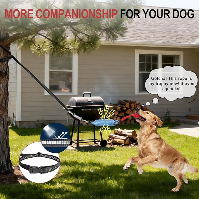 Dog Tree Tug of War Toy with Squeaky, Tethered Tug of War Outdoor Toy Self Play for Small to Medium Dogs to Exercise Play Rope,Ball with Rope Dog Toy