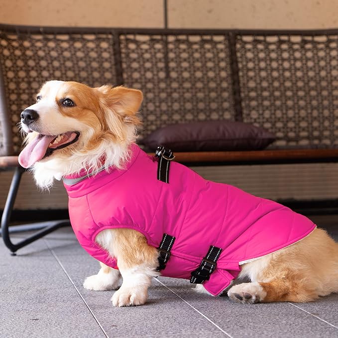 Small Dog Coat with Harness Built-in, Waterproof Reflective Fleece Lined - Warm Windproof Winter Jacket with Back Zipper, Cold Weather Snow Dog Coats - Pink - S