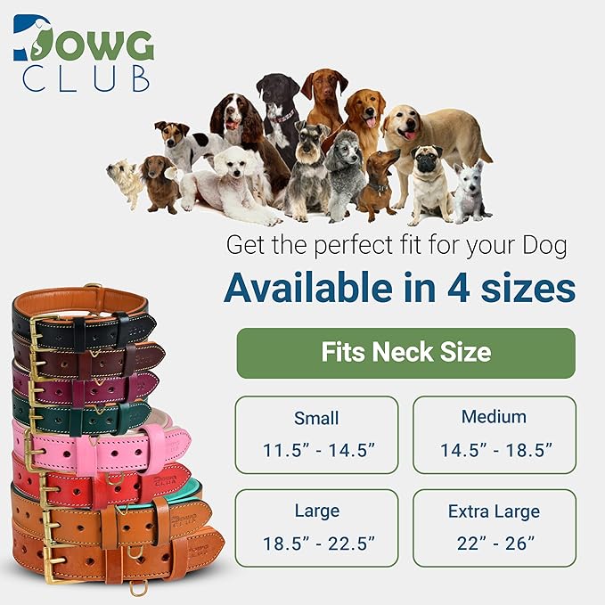 Genuine Leather Dog Collar | Padded, Full Grain, Heavy Duty, Comfortable, Strong | Best for Pups, Small, Medium, Large & XL Breeds (Small (Fit Neck Size 11.5"-14.5"), Dark Brown)