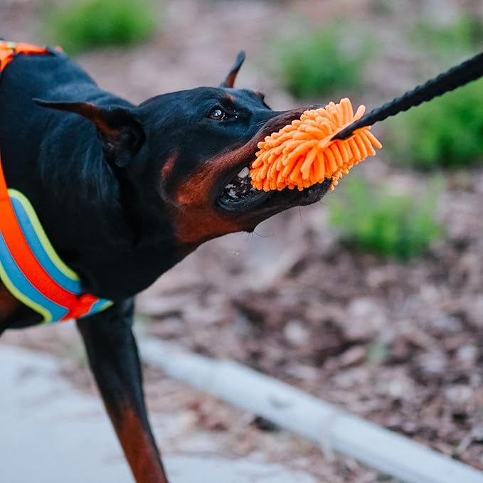 Dingo Shaggy tug Toy for Dog, nuby Noodle Plush, tug of war, Outdoor Play, Dog Training, Agility, Bungee Handle 9-18in, Orange