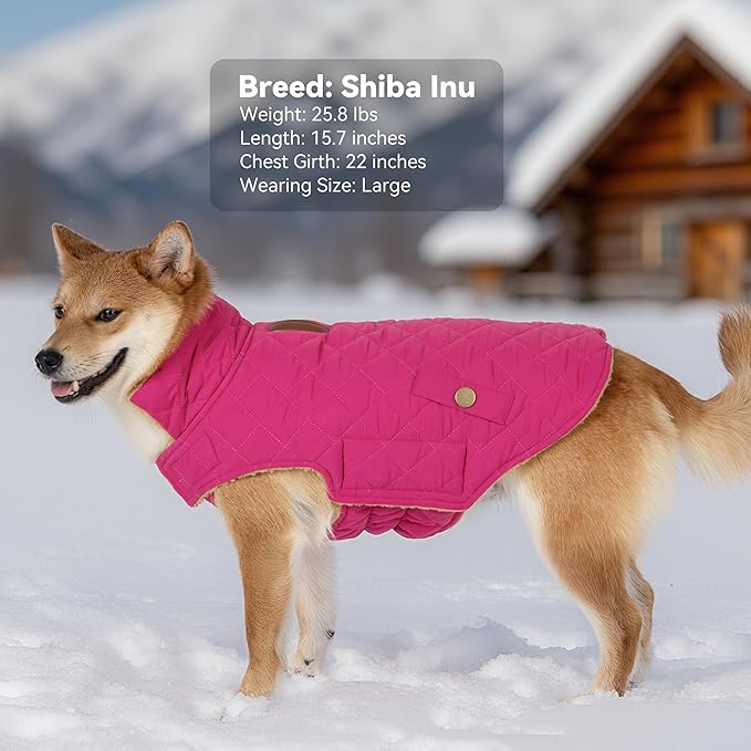 Dog Coat, Warm Soft Dog Winter Coats for Small Dogs, Waterproof Windproof Dogs Adjustable Jacket with Fleece Lined Turtleneck Doggy Snowsuit with Leash Hole, Rose Red Large