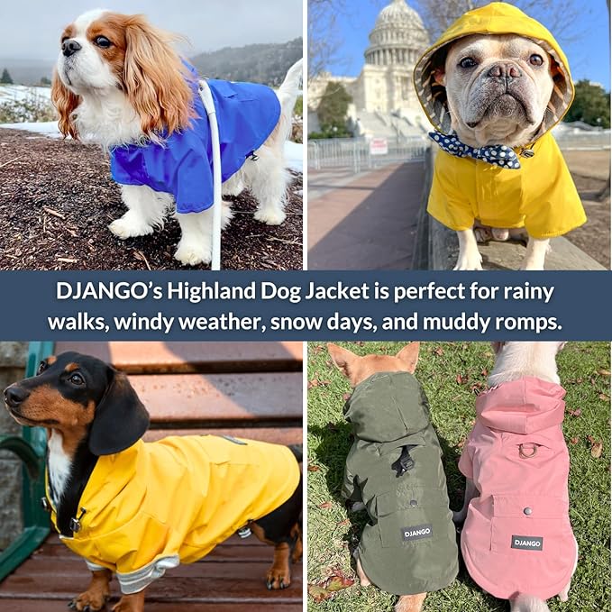 DJANGO Highland Dog Jacket & Raincoat – Water-Repellent, Lined Dog Coat with Hood, Adjustable Fit & Harness Hole – Lightweight Rain & Wind Jacket for Small & Medium Dogs up to 30 lbs (Olive, Small)
