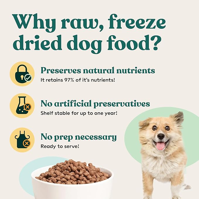 Little Hunter- Freeze Dried Raw USDA Beef Dog Food | for Small & Large Breeds | High Protein + Organic Fruits & Veggies Veterinarian Made Small Batch