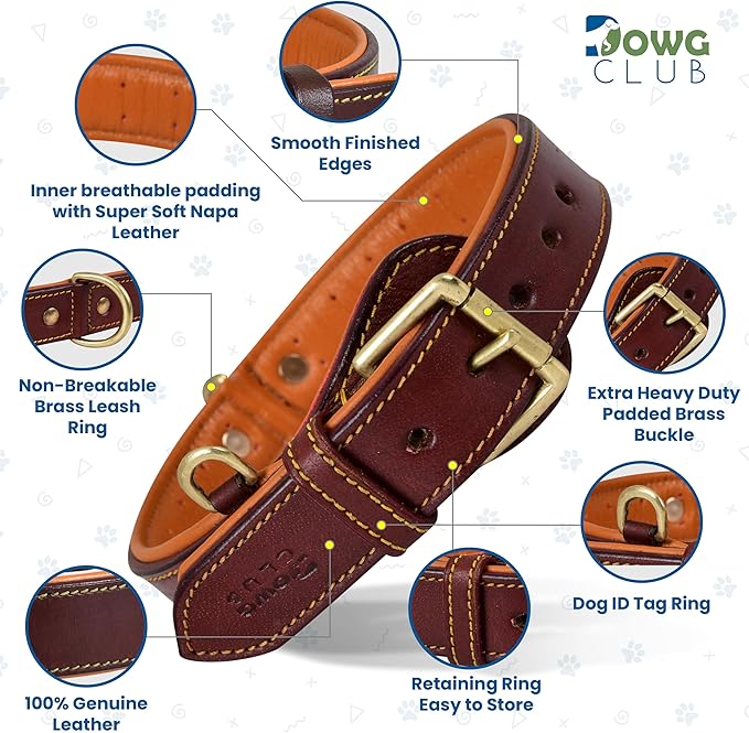 Genuine Leather Dog Collar – Full Grain, Breathable Inner Padding, Padded Buckle – Heavy Duty, Adjustable for Small, Medium, Large & XL Breeds | (X-Large (Fit Neck Size 22"-26"), Dark Brown)