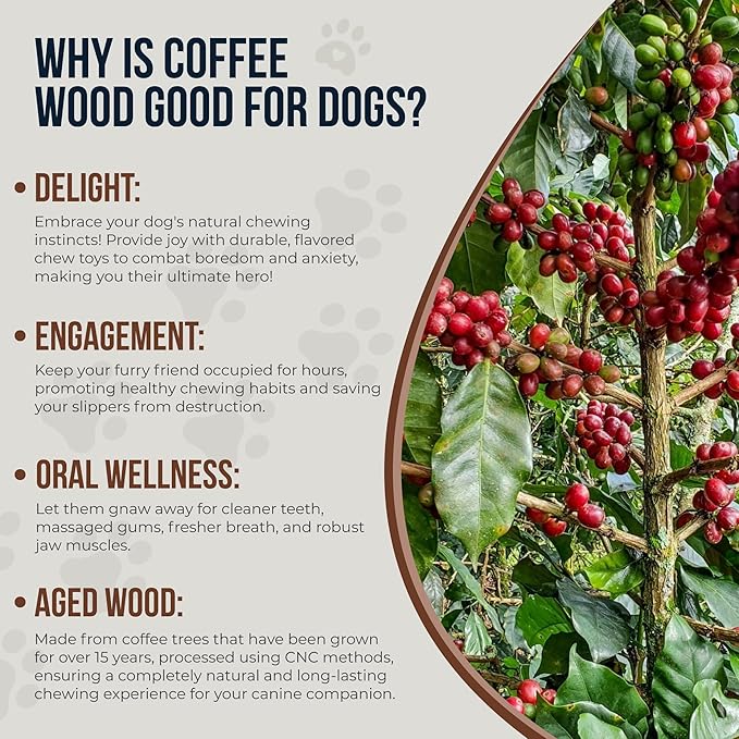 Coffee Wood Dog Chew Sticks 6.5" & Dog Rope Toys for Puppy - 100% Natural Puppy Chew for Teething, Organic Wood Stick - Size XS