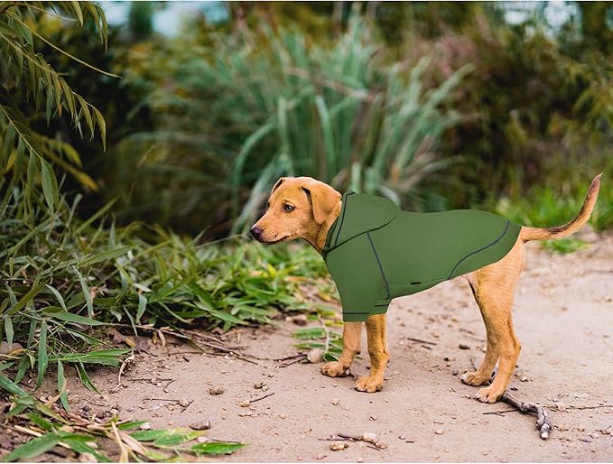 Kicred Basic Dog Hoodie, Premium Dog Sweater Pullover, Soft & Comfy Cotton Pet Clothes Hoodies with Hat and Leash Hole, Doggy Puppy Sweatshirt Coat for Small Medium Large Dogs - Army Green (Large)