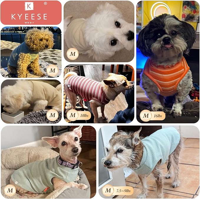 KYEESE 2Pack Dog Shirts Waffle for Small Dogs, Stretchy T-Shirts, Lightweight Tank Top, Sleeveless Vest, Breathable Cat Shirt, Medium, Purple + Grey