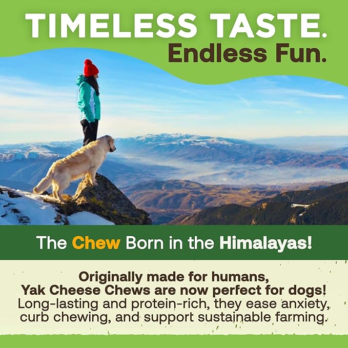 EcoKind Premium Gold Yak Cheese Himalayan Dog Chews, Healthy Dog Treats for Medium Dogs, All Natural, High Protein Dog Chew, Water Buffalo, Medium - 3 Chews