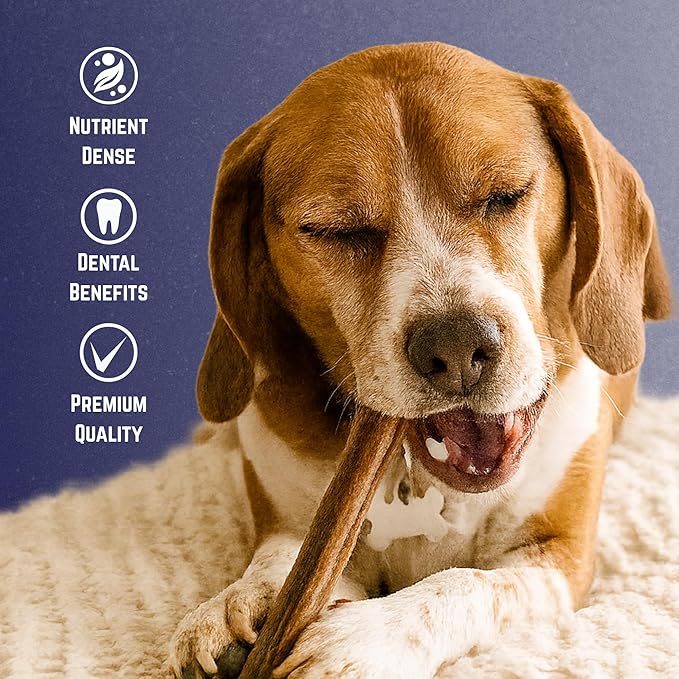 Devil Dog Pet Co. Bully Sticks – 12 Inch, 5 Pack, Standard Sized Dog Chews, 100% Natural, Single Ingredient, Free-Range Grass-Fed Beef – Long Lasting, Rawhide-Free Treats for Dogs