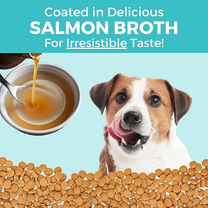 KOHA Limited Ingredient Bland Diet Dry Food for Dogs - Salmon & Brown Rice Recipe, Sensitive Stomach Dog Food with Pre & Probiotics - Pumpkin for Digestive Support, 20 lbs