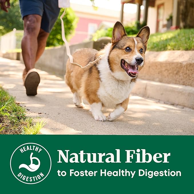 Nutro Natural Choice Chicken & Brown Rice Senior Dog Food Dry Recipe, 30 lb. Bag