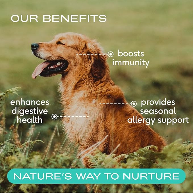 Native Pet Sockeye Salmon Oil (8 Oz.) & Colostrum for Dogs (120 Scoops) - Bovine Colostrum Powder – Allergy Relief, Immune Support & Itchy Skin Treatment & Pure Omega 3 Fish Oil