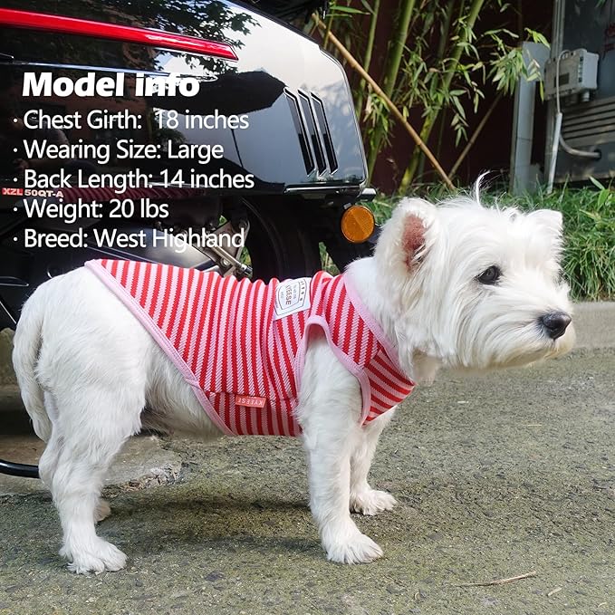 KYEESE 2Pack Dog Shirts Striped Soft Stretchy Dog T-Shirts Lightweight Tank Top Sleeveless Vest Breathable Pet Outfit, XX-Large, Green+Pink