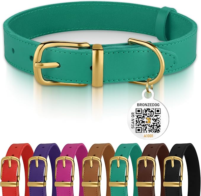 BRONZEDOG Leather Dog Collar with Metal Buckle Durable Basic Pet Collars for Small Medium Large Dogs (14-17 Inch (Pack of 1), Green & Gold Buckle)