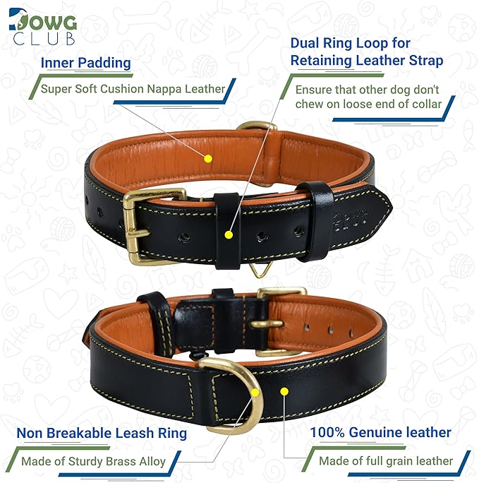 Leather Dog Collar | Leather Collar for Small Dogs, .75 Inch Wide Dog Collar Black | Genuine, Full Grain, Heavy Duty, Comfortable, Inner Padding (Small (Fit Neck Size 11.5"-14.5"), Black)