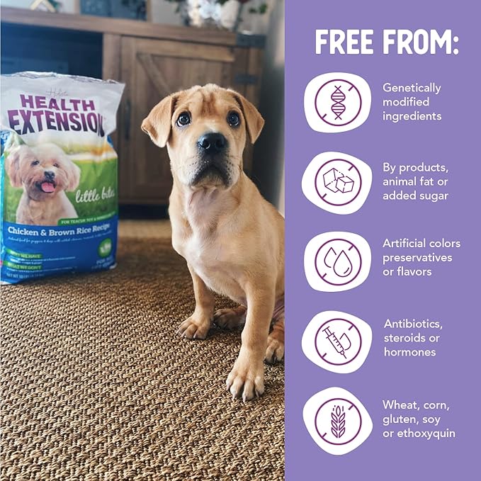 Health Extension Little Bites Dry Dog Food for Small Breeds, Chicken & Brown Rice Recipe, with Probiotics & Superfoods for Digestion & Coat Health, 4 lb bag (Pack of 1)