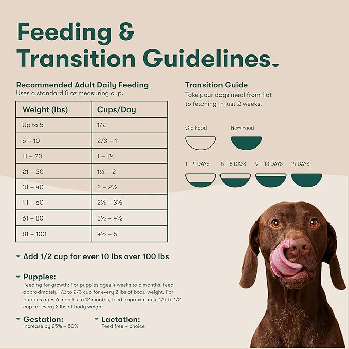 Jinx Premium Grain-Free Dry Dog Food, for All Lifestages - Real Chicken, Sweet Potato & Carrot Kibble with Superfoods for Immune Support & Probiotics for Digestive Support - No Fillers -30lb