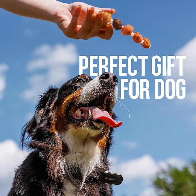 M-PETS Dog Treats, 5 Flavor Dogs Kabob Snacks Long Lasting Chews, Made with Real Chicken and Duck Jerky Meat 18pcs Rawhide Sticks
