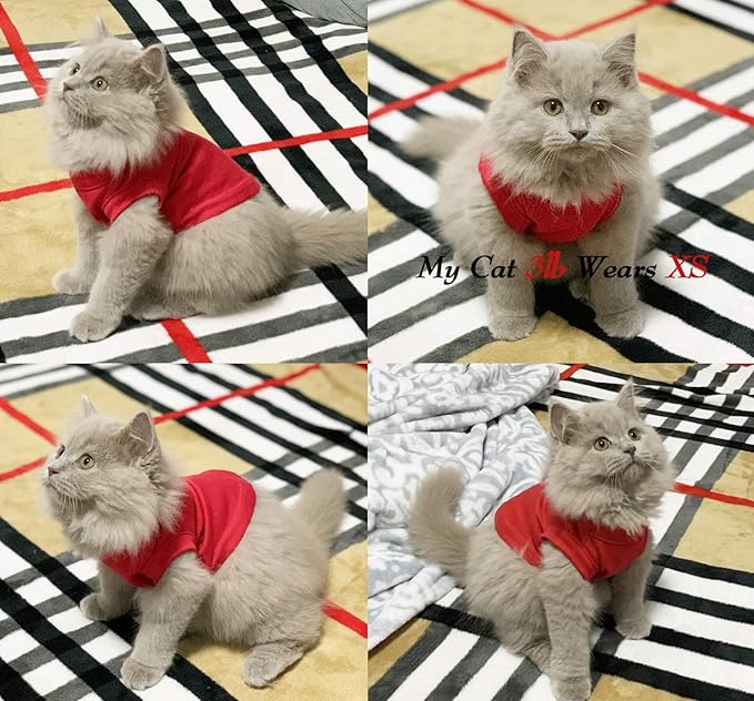 Dog Shirts Pet Clothes Blank Clothing, 3pcs Puppy Vest T-Shirt Sleeveless Costumes, Doggy Soft and Breathable Apparel Outfits for Small Extra Small Medium Dogs and Cats