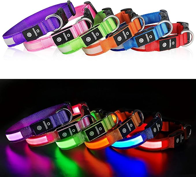 MASBRILL LED Dog Collar - Light Up, Rechargeable, Waterproof, Glow Collar for Small to Large Dogs