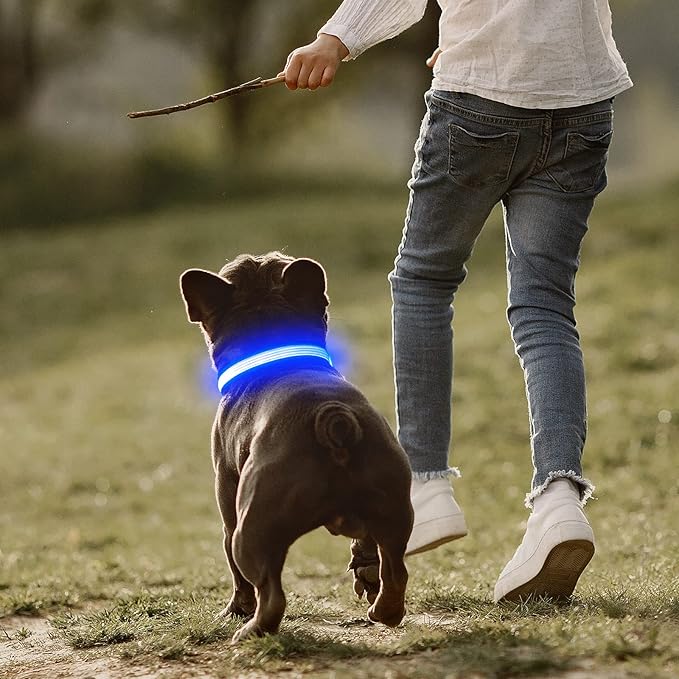 YFbrite Full Adjustbale LED Dog Collar, Full Illuminated Light up Dog Collars, Reflective Dog Collar Light Glowing in The Dark for All Dogs Safety (Medium, Blue-2)