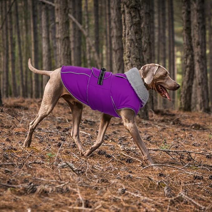 Lelepet Warm Dog Winter Coats for Medium Dogs Waterproof Dog Jacket Reflective Pet Fleece Vest Windproof Cold Weather Coats with Adjustable Buckle & Leash Hole, Purple, M
