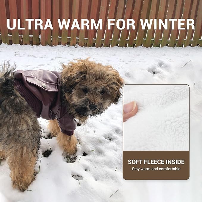 LESYPET Dog Leather Jacket for Small Dogs, Waterproof Dog Winter Jacket Puppy Coat with Fleece Lined, Ultra Warm Fur Collar Doggie Coat, Red M