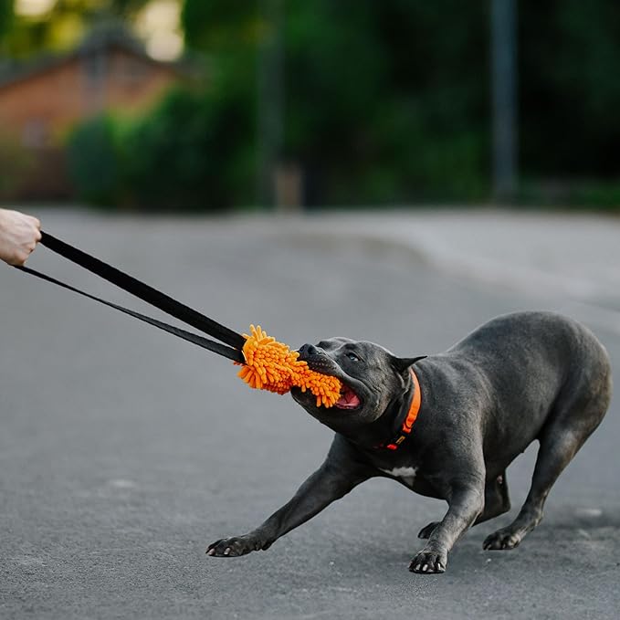 Dingo Shaggy tug Toy for Dog, nuby Noodle Plush, tug of war, Outdoor Play, Dog Training, Agility, Bungee Handle 9-18in, Orange