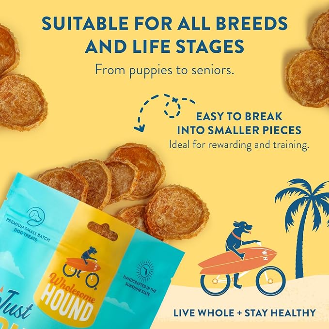 Chicken Chips – Single Ingredient Dog Treats, All Natural & Healthy Training Snacks for Small, Medium & Large Breeds, Puppies – High Protein, Made in USA 3oz
