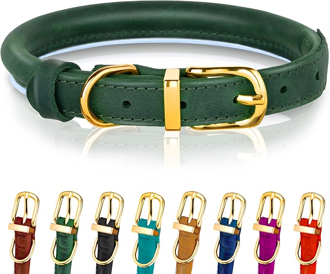 OOPSDOGGY Reflective Rolled Leather Dog Collar Adjustable Soft Padded Pet Collar for Small Medium Large Breed Dogs (Green, XL, 17"-21")