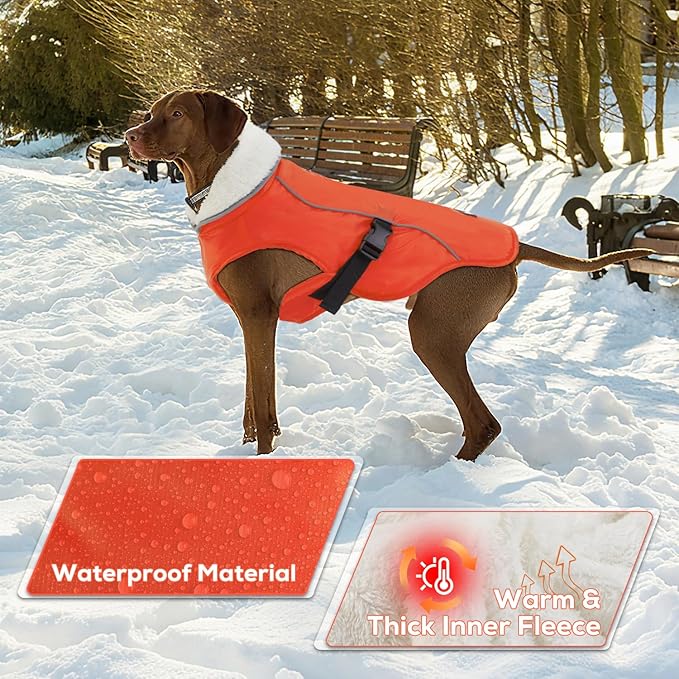 EMUST Dog Winter Coat, Thick Windproof Pet Jacket Winter, Pet Dog Vest for Small/Medium/Large, Orange, XXL