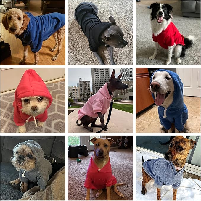 KOOLTAIL Basic Dog Hoodie - Soft and Warm Dog Hoodie Sweater with Leash Hole and Pocket, Dog Winter Coat, Cold Weather Clothes Sweatshirt for Small Medium Large Dogs Puppy Cat Boys Girls Blue M