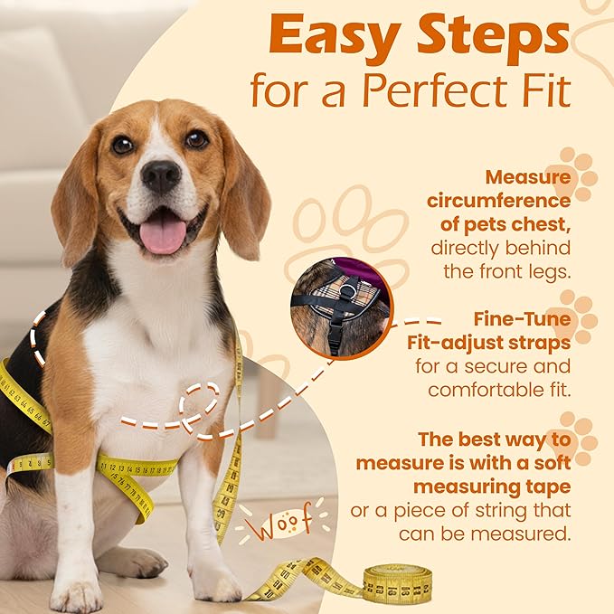 Bark Appeal Tan Plaid No-Pull Dog Harness for Extra Small to Small Sized Pets – Adjustable, Reflective Vest with 3 Leash Clips for Added Control, Easy Walks & Training – Small