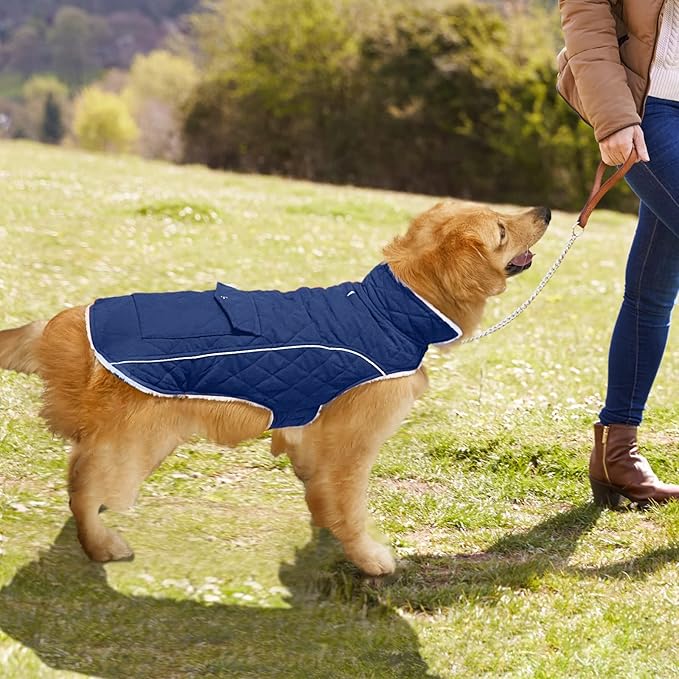 Malier Dog Winter Coat, Windproof Dog Cold Weather Coats with Real Pocket, Winter Extra Warm Pet Coat Fleece Jacket Reflective Clothes for Small Medium Large Dogs and Puppy (Blue, Medium)