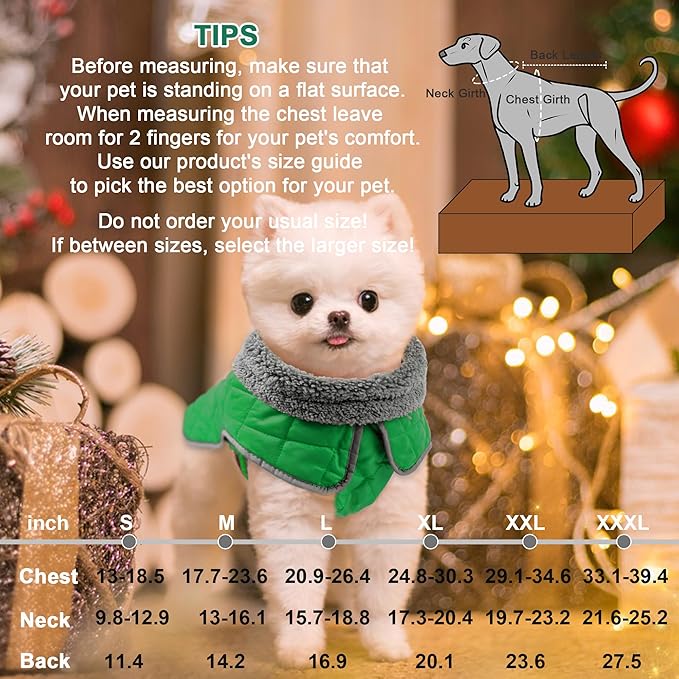Fragralley Dog Winter Coat, Waterproof Windproof Reflective Fleece Jacket with Harness Hole, Warm Snow Vest for Small Medium Large Dogs, Ideal Gifts