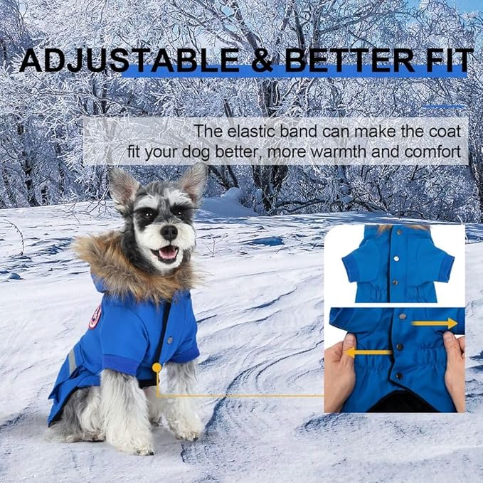 PINA Small Dog Coats - Waterproof, Warm Winter Jacket with Faux Fur Hood & Pocket