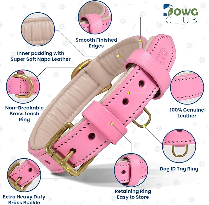 Leather Dog Collar for Large Dogs, Light Pink, 1.25 Inch, WideGenuine Leather, Heavy Duty with Soft Inner Padding, Comfortable and Durable (Blush Pink, Large (Fit Neck Size 18.5"-22.5"))