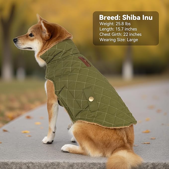 Dog Coat, Warm Windproof Dog Coats for Large Dogs Boy, Waterproof Pet Winter Jacket, Cold Weather Clothes Dogs Snowsuit with Leash Hole, Green XXX-Large