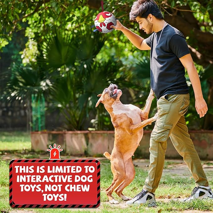 QDAN Premium Dog Balls Toys, Outdoor Dog Toys, Dog Soccer Balls with with Straps, Pet Puppy Birthday Gifts for Small Medium Dogs, 6 Inch, Chicken Ball