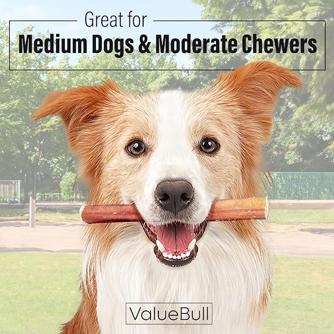 ValueBull Bully Sticks for Dogs, Medium 6 Inch, 50 Count - All Natural, Grass Fed, Single Ingredient, Long Lasting Dog Treats