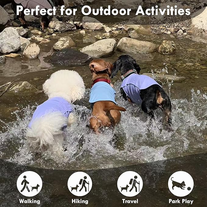 2 Pack Dog Shirt Quick Dry, Sun Protection UPF50+ Summer Cooling Vest, Soft Lightweight Tshirts for Medium Dogs Allergies Wound Care, Purple+Pink, M
