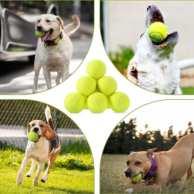 20 Pack Bulk Tennis Balls for Dogs, 2.5 Inch Mini Tennis Balls for Pet Playing Fecth, Yellow Interactive Easy Catching Dog Playing Ball for Small Size Dogs Puppy Pet Playings Exercise and Practice